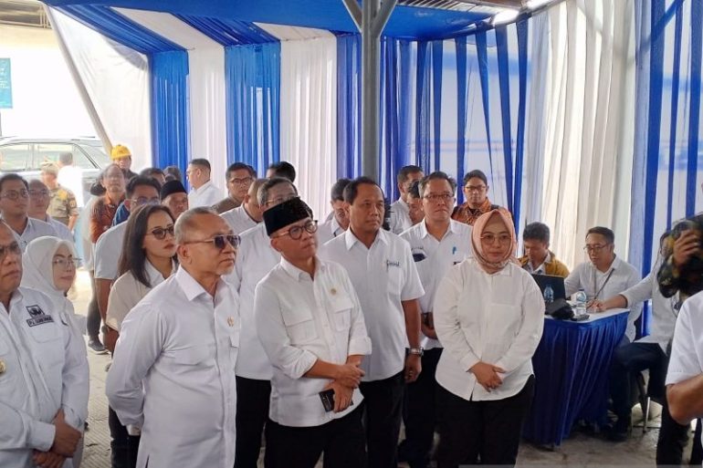 Menko Pangan sebut kenaikan PPN berdampak ke harga pupuk