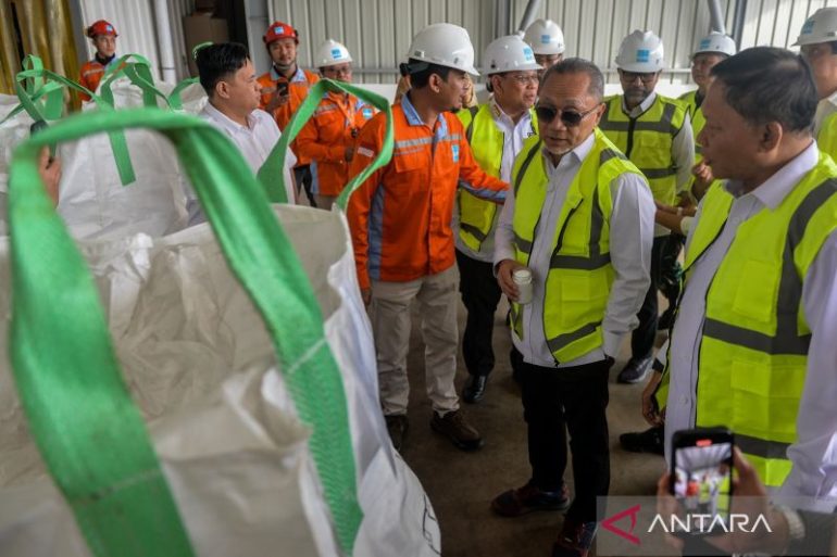 Menko Pangan: Kualitas garam dalam negeri di atas produksi impor