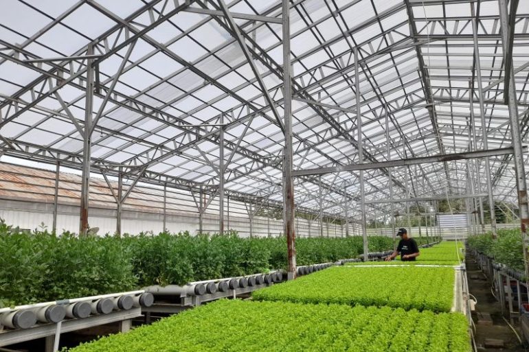 Pemkab Serang dukung inovasi “greenhouse” tarik minat petani muda
